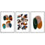 "Abstrait, cercles entrecroisés, formes géométriques, style Mid-Century, art contemporain bohème coloré", 3 pièces-98695999-98695996
