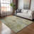 Machine Washable Indoor/Outdoor Leavittsburg ACN2235 Floral Rug-484518117