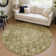 Machine Washable Indoor/Outdoor Claudian ACN1663 Brown Rug