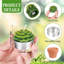 Ensemble de 36 bougies chauffe-plat Cactus