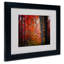 "No Title" par Philippe Sainte-Laudy, reproduction de photo encadrée-11810872-19449051
