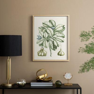Buchoz Tropicals IX Framed Print - Solid Wood