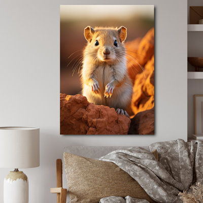 " Small Wonder Rodent "
