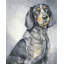 Smokey X Painting by Jacob Lincoln-64229495