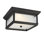 McHenry LED Outdoor Flush Mount