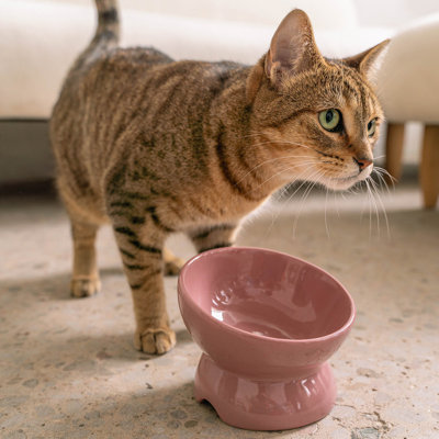Dexypaws: bol en céramique surélevé pour chats - rosé cendré - capacité de 7 oz, plat élégant pour animaux de compagnie, lavable au lave-vaisselle, nourriture et eau, hauteur ergonomique