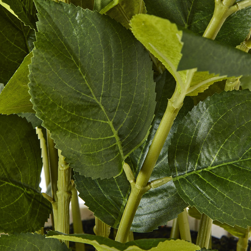Annitta Plant in Pot, 79 cm H x 63 cm W x 63cm D