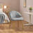 Velvet Accent Chair Vanity Makeup Chairs-1637939233