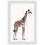 Carrie debout, grande girafe, reproduction encadrée-2127135992