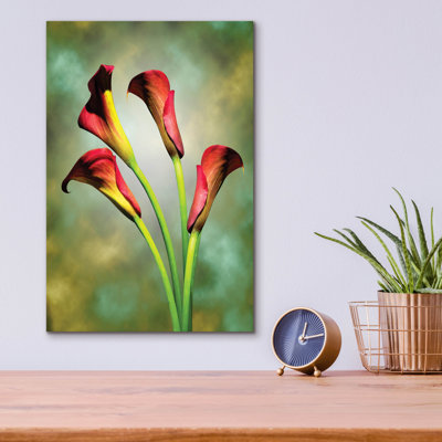"Fleurs rouges" par Mark Ashkenazi