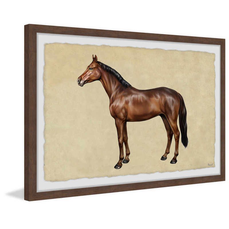 Shiny Coat - Single Picture Frame Painting, 20cm H x 30cm W x 3.81cm D