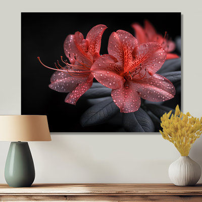 Rose, noir, rhododendron, fleur de minuit I - salon d'art mural rhododendron