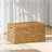 Ludmilla Wicker Trunk-1728654892