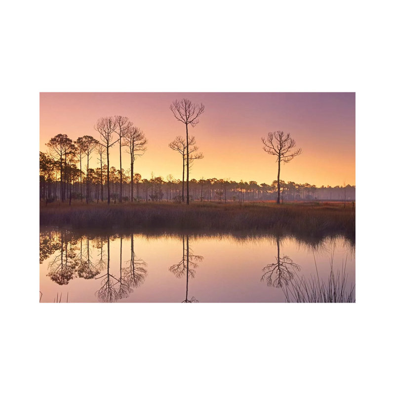 Pineland At Piney Point Near Hagen's Cove, Florida 1 Piece Wall Art on Canvas, 66.04 cm H x 45.72 cm W x 3.175 cm D