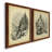 " The Larch " 2 - Pieces-120827182-120827170