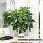 Arbre artificiel plante tropicale, pot de fleur blanc, arbre artificiel, bureau à la maison, salon, maison de campagne, arbre décoratif moderne, pas d'arrosage, arbre artificiel