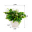 Herbe d'eucalyptus 11 po dans un vase