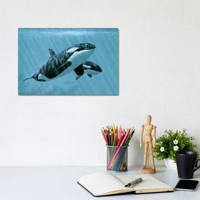 Mother and Son - Orcas 1 Piece Wrapped Canvas Wall Art