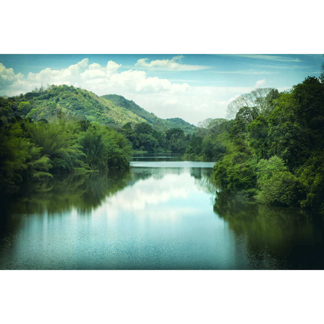 Periyar Fluss in Kerala von Powerofforever - Leinwandbild