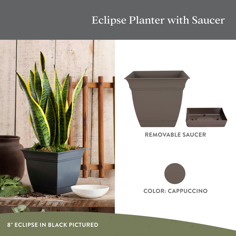 Jardinière carrée en plastique avec sauce, Cappuccino