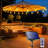 Outdoor 60 - Bulb 240'' Solar Powered LED Wide Angle LED String Light