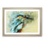 Kingfisher Illustration in Abstract - Framed Print-55767558-55767559