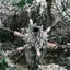 Artificial Hinged Christmas Tree White PE and PVC-1814712566