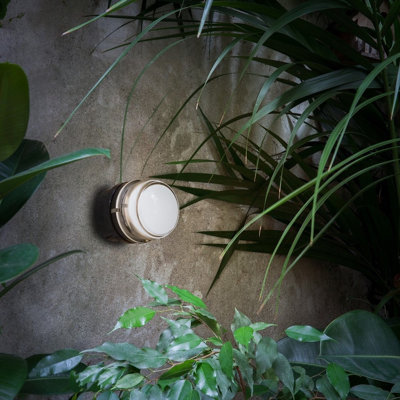 1 - Light Flush Mounted Sconce