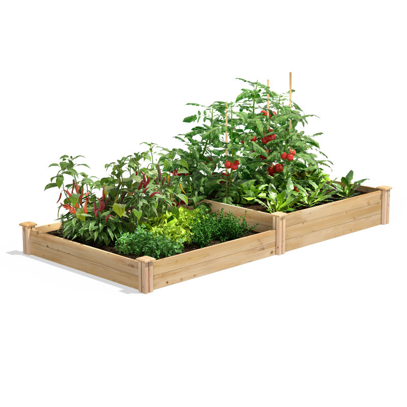 Jardin surélevé en cèdre 8 pi x 4 pi Jaxon, Cèdre