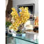 Cymbidiums In Moon Vase-332097416