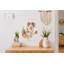 Horloge murale 12,6 pouces Allen Designs
