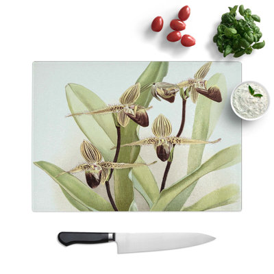 Glass Magnolia Flowers Illustration Tab.61 by Frederick Sander Chopping Board
