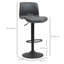 Locrian Swivel Adjustable Height Bar Stool with Steel Frame