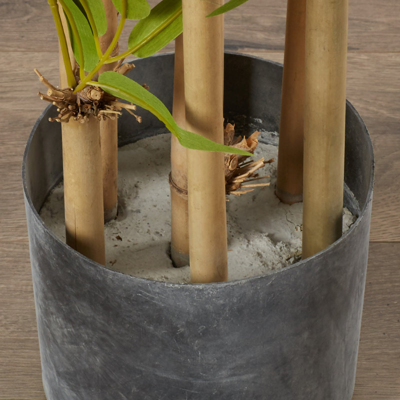 Bamboo Silk Tree, 64" H x 33" W x 33" D