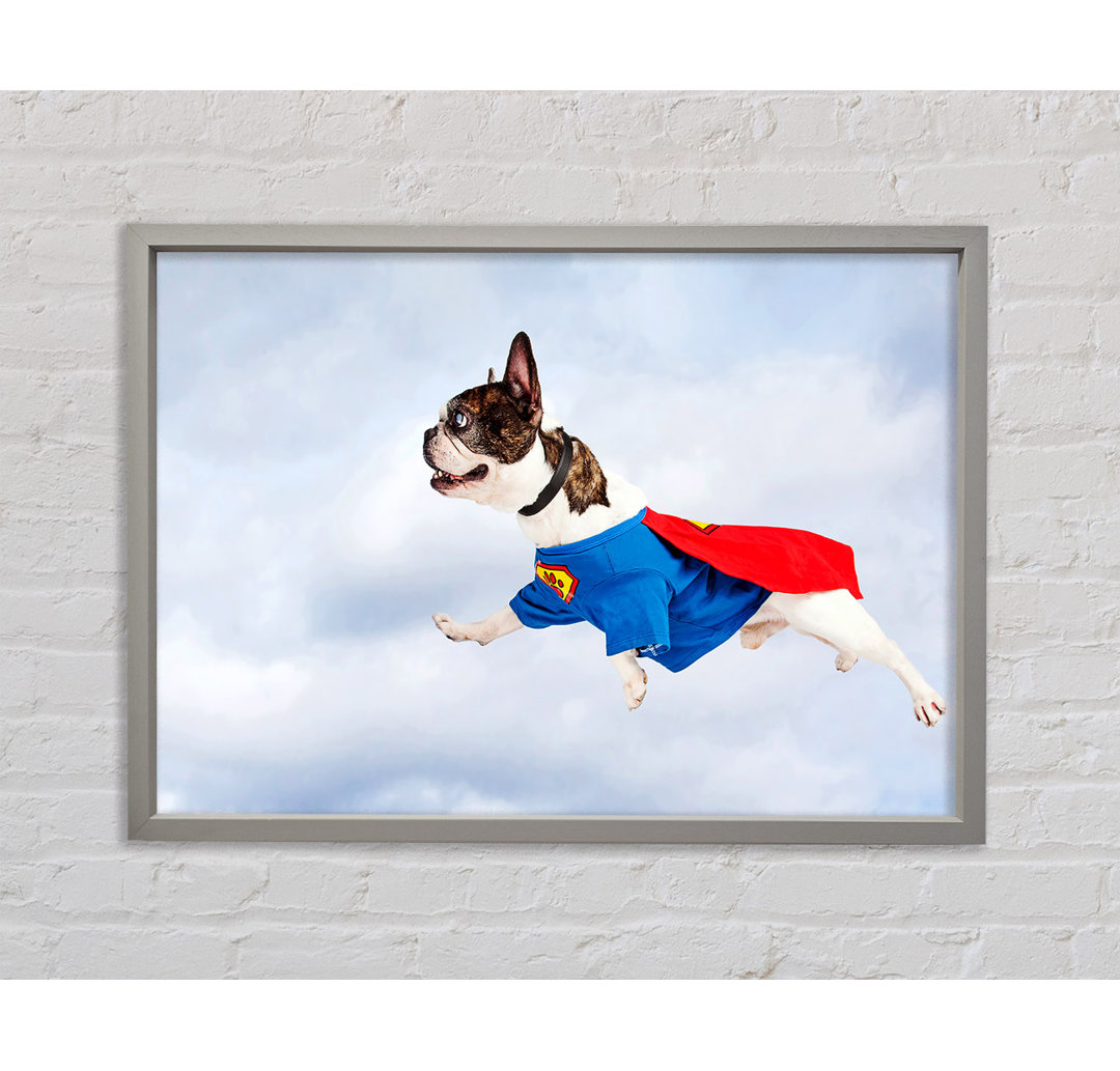 Gerahmtes Poster Super Dog Skies