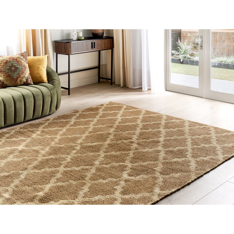 Dianny Geometric Hand Woven Area Rug, Rectangle 200 x 300cm
