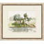 Summers Surroundings 3 - Single Picture Frame Print on Paper