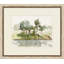 Summers Surroundings 3 Print