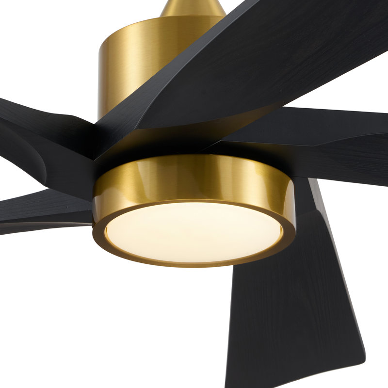 Ventilateur de plafond 60 po à intensité variable moderne avec lumières DEL et télécommande, 60 po de largeur