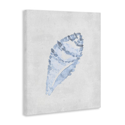 Toile de coquillage, escargot de mer, design par Camila Juncos