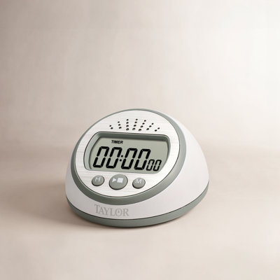 Taylor Digital Timer