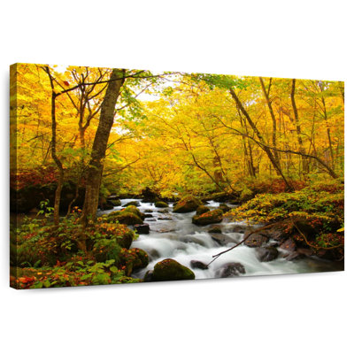 Alvord Oirase River Autumn