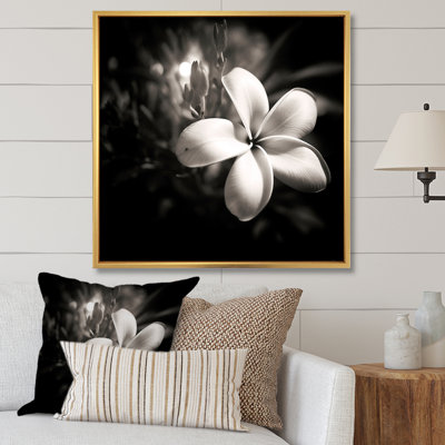 Spectrum Wild Moonlight Plumeria Beauty sur toile