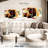 " Expressionist " by Pineapple Collective 4 - Pieces-2138903463