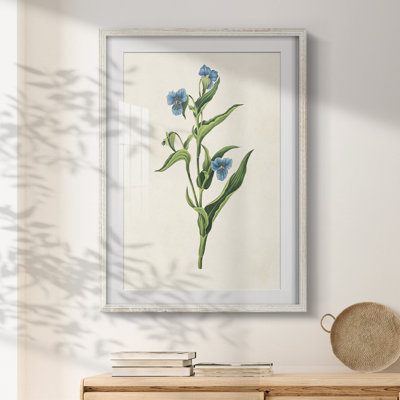 Gathering up the Goddess II -Gallery Wrapped Canvas