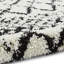 Machine Woven White/Black Rug-93557895