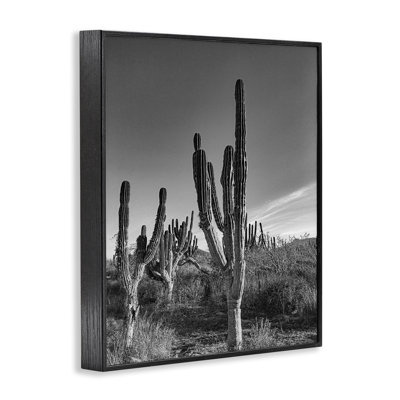 Sunlit Succulents Canyon Cacti Framed Giclee, design by Norm Stelfox
