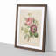 Pink Anemone Rose by Pierre-Joseph Redoute - Framed Print-55583454-55583455