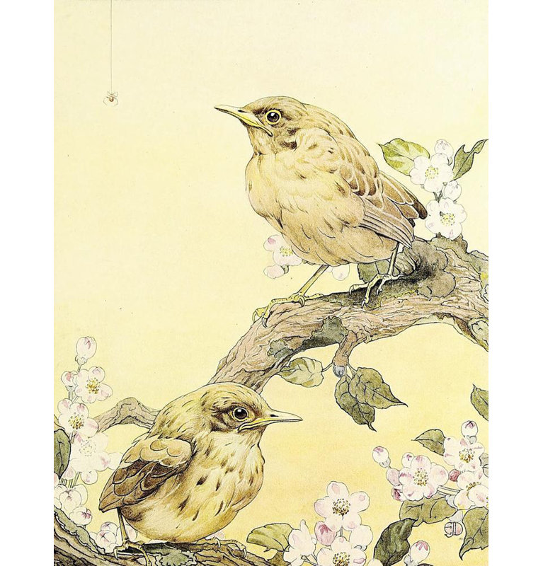 "The Yellow Hammer" by  Edward Julius Detmold - Gallery Wrap Canvas Wall Art, 24" H x 17" W