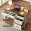 Executive Desk With Storage And Ample File Drawer-587472116